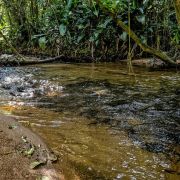Trilha das Cachoeiras com Café especial preparado por Recanto Aribá