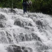 Trilha das Cachoeiras com Café especial preparado por Recanto Aribá