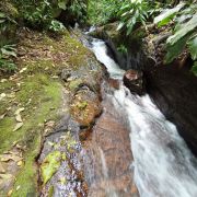 Trilha das Cachoeiras com Café especial preparado por Recanto Aribá