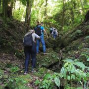 Trilha das Cachoeiras com Café especial preparado por Recanto Aribá