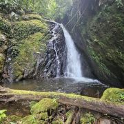 Trilha das Cachoeiras com Café especial preparado por Recanto Aribá