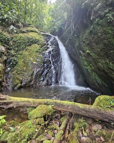 Trilha das Cachoeiras com Café especial preparado por Recanto Aribá