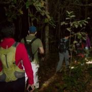 Trilha Noturna – Uma Experiência Única na Natureza
